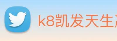 k8凯发天生赢家官网 Logo